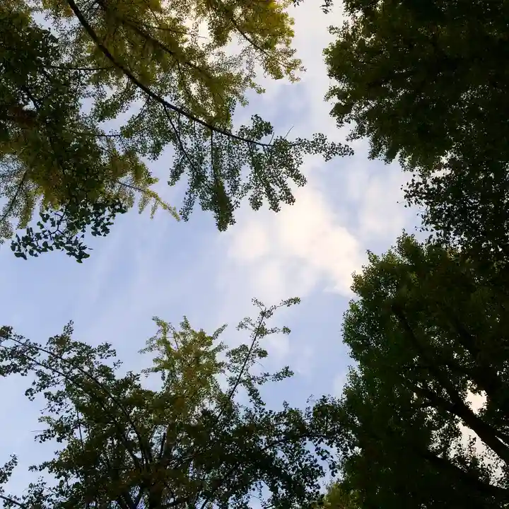 鳥越神社の自然