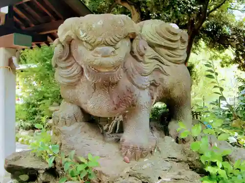 菊田神社の狛犬