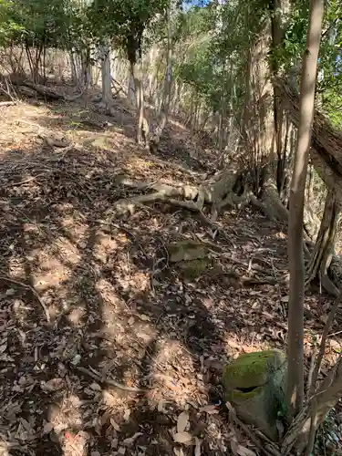 神社（名称不明）の自然