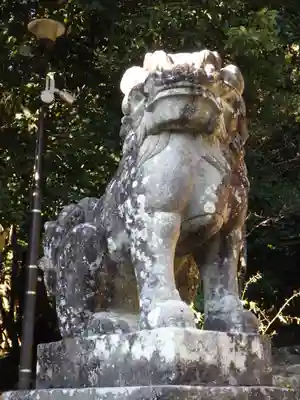 宇治上神社の狛犬