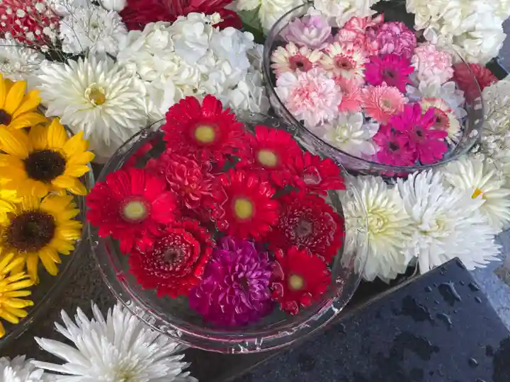 新川皇大神社の手水舎