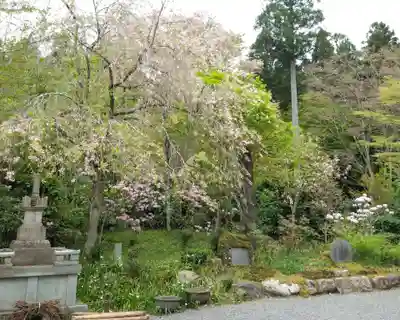 三千院門跡(京都府)