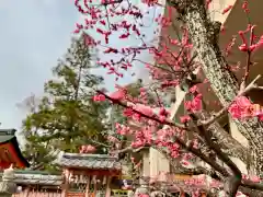 西院春日神社の自然