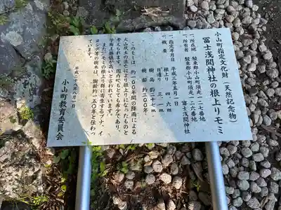 富士山東口本宮 冨士浅間神社(静岡県)