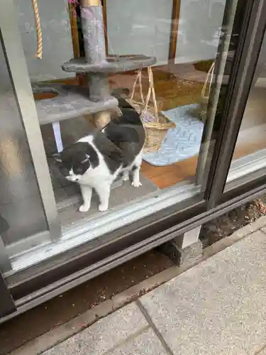 遍照院(神奈川県)
