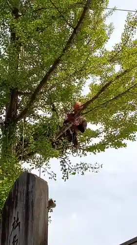 阿邪訶根神社(福島県)