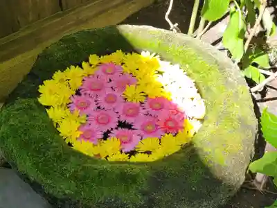 菅生神社の手水舎