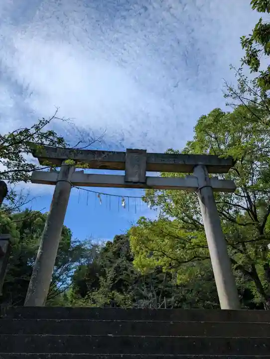 國分八幡宮(香川県)