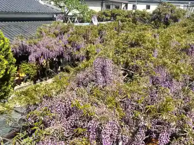 市場稲荷神社(大阪府)