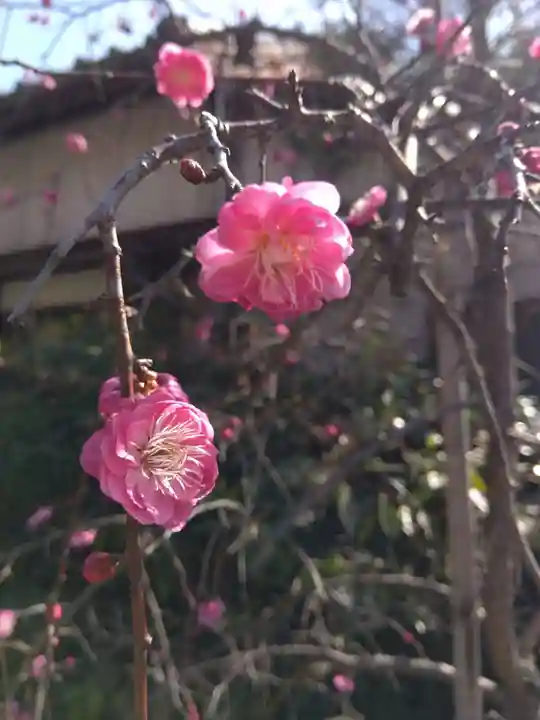 御厨神社(三重県)