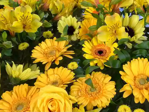住吉神社の手水舎