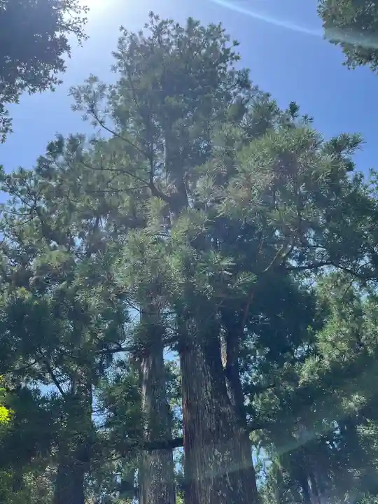 伊勢神宮内宮(皇大神宮)(三重県)