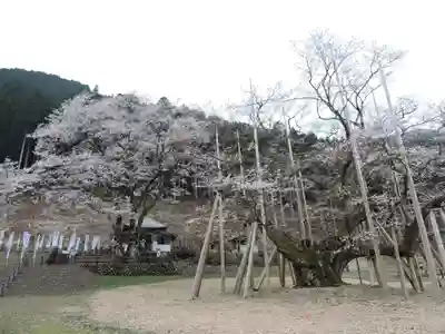 淡墨観音(岐阜県)