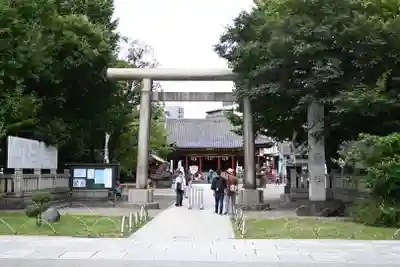 浅草神社の鳥居