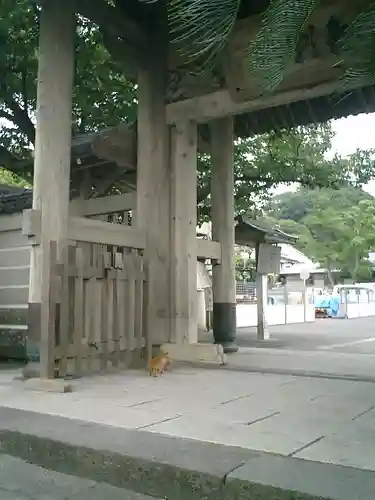 光明寺の山門・神門