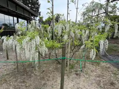 志那神社(滋賀県)