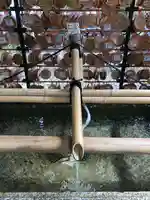 今戸神社の手水舎