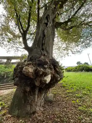 高根神社(長野県)
