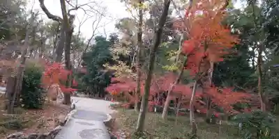 賀茂御祖神社（下鴨神社）(京都府)