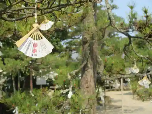 智恩寺の庭園