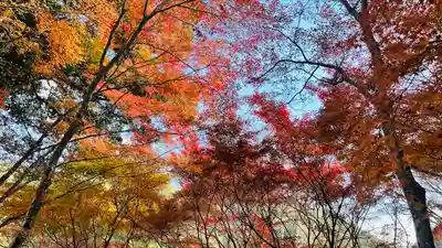 神護寺(京都府)