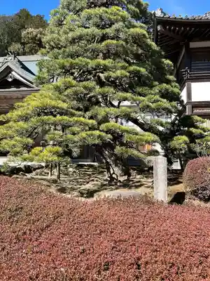 尊永寺(静岡県)