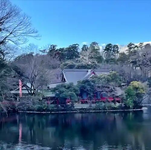 井の頭弁財天（大盛寺）(東京都)