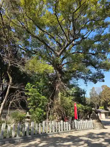 富部神社(愛知県)
