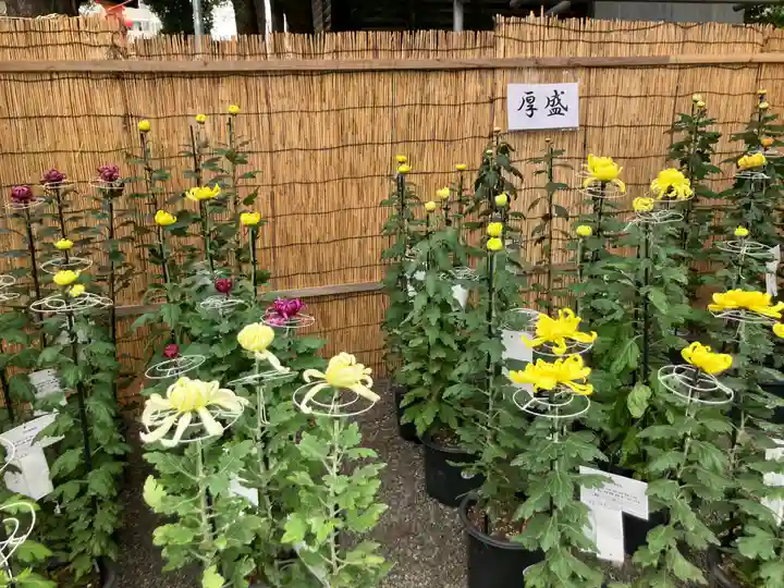大國魂神社(東京都)