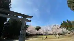 宮崎神社の鳥居