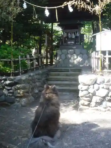 霊犬神社の動物