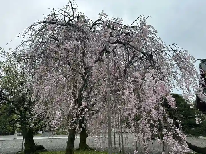 富山縣護國神社の{uncategorized: "未分類", other: "その他", undefined: "問題あり", building: "その他建物", grave: "お墓", sacred_gate: "鳥居", guardian: "狛犬", statue: "像", buddha: "仏像", history: "歴史", nature: "自然", garden: "庭園", animal: "動物", pagoda: "塔", temizu: "手水舎", mountain_gate: "山門・神門", sanctuary: "本殿・本堂", subordinate: "末社・摂社", art: "芸術", scenery: "景色", jizo: "地蔵", ema: "絵馬", goshuin: "御朱印", omikuji: "おみくじ", items: "授与品その他", amulet: "お守り", goshuincho: "御朱印帳", eats: "食事", festival: "お祭り", votive_dance: "神楽", shichigosan: "七五三参", wedding: "結婚式", experience: "体験その他", initially: "初詣", around: "周辺", anti_infection: "感染症対策"}