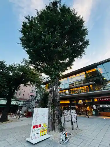 神田神社（神田明神）の{uncategorized: "未分類", other: "その他", undefined: "問題あり", building: "その他建物", grave: "お墓", sacred_gate: "鳥居", guardian: "狛犬", statue: "像", buddha: "仏像", history: "歴史", nature: "自然", garden: "庭園", animal: "動物", pagoda: "塔", temizu: "手水舎", mountain_gate: "山門・神門", sanctuary: "本殿・本堂", subordinate: "末社・摂社", art: "芸術", scenery: "景色", jizo: "地蔵", ema: "絵馬", goshuin: "御朱印", omikuji: "おみくじ", items: "授与品その他", amulet: "お守り", goshuincho: "御朱印帳", eats: "食事", festival: "お祭り", votive_dance: "神楽", shichigosan: "七五三参", wedding: "結婚式", experience: "体験その他", initially: "初詣", around: "周辺", anti_infection: "感染症対策"}