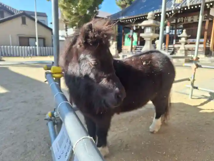 天神社(大阪府)