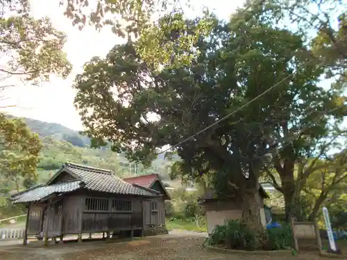 日羅将軍神社の自然
