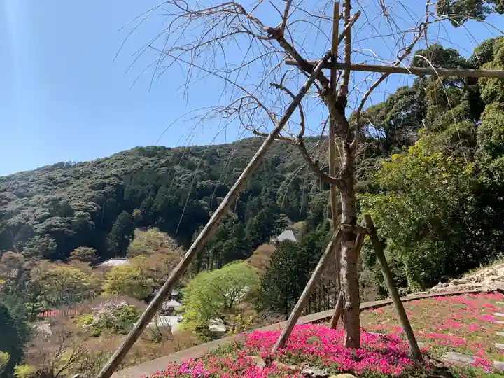 普門寺(切り絵御朱印発祥の寺)(愛知県)
