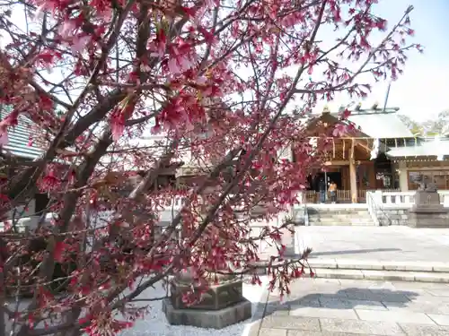 石濱神社の自然