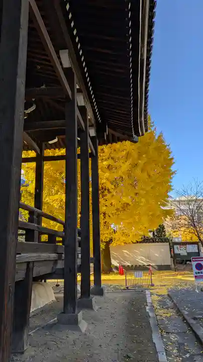 本法寺(京都府)
