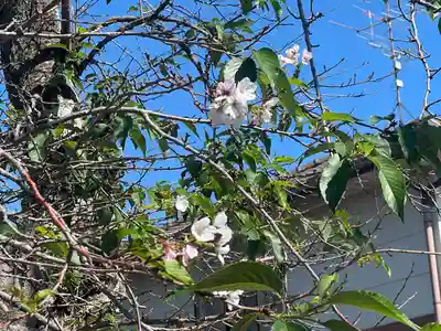加佐美神社(岐阜県)