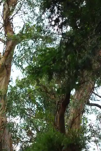 元城町東照宮の自然