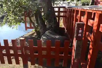 鶴岡八幡宮(神奈川県)