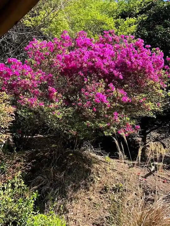 木舟山 順教寺の庭園