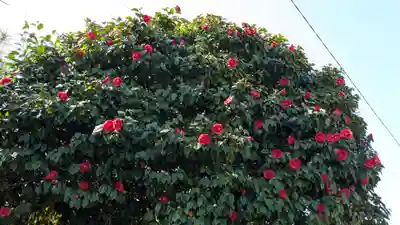 和多都見神社(愛媛県)