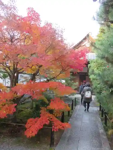 清凉寺(京都府)