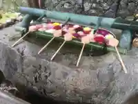 岡寺(龍蓋寺)の手水舎