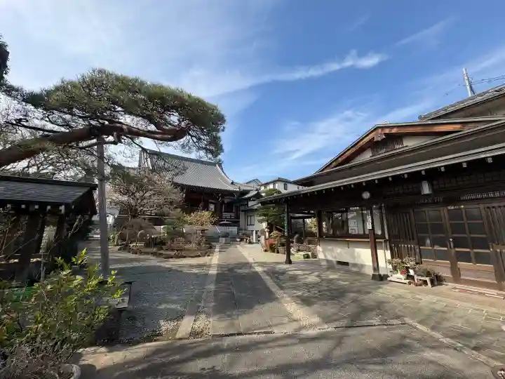 天然寺の{uncategorized: "未分類", other: "その他", undefined: "問題あり", building: "その他建物", grave: "お墓", sacred_gate: "鳥居", guardian: "狛犬", statue: "像", buddha: "仏像", history: "歴史", nature: "自然", garden: "庭園", animal: "動物", pagoda: "塔", temizu: "手水舎", mountain_gate: "山門・神門", sanctuary: "本殿・本堂", subordinate: "末社・摂社", art: "芸術", scenery: "景色", jizo: "地蔵", ema: "絵馬", goshuin: "御朱印", omikuji: "おみくじ", items: "授与品その他", amulet: "お守り", goshuincho: "御朱印帳", eats: "食事", festival: "お祭り", votive_dance: "神楽", shichigosan: "七五三参", wedding: "結婚式", experience: "体験その他", initially: "初詣", around: "周辺", anti_infection: "感染症対策"}