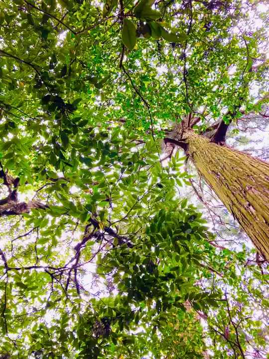 白瀧神社(茨城県)