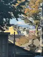 北澤八幡神社の景色