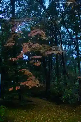 伊勢神宮内宮（皇大神宮）(三重県)