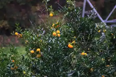 大六天麻王神社の周辺